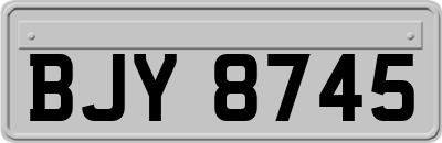 BJY8745