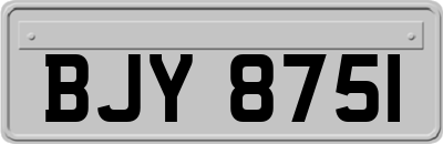 BJY8751