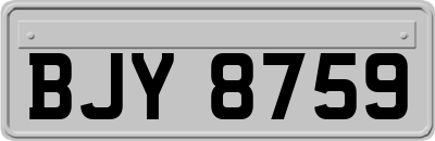 BJY8759
