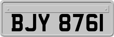 BJY8761