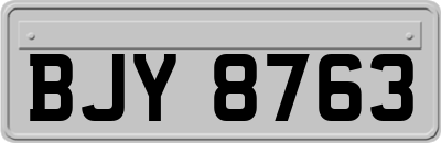 BJY8763