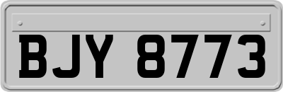 BJY8773