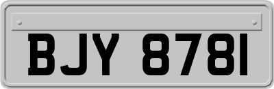 BJY8781