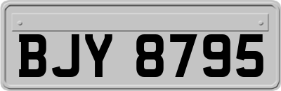 BJY8795