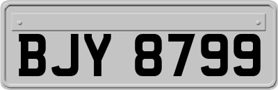 BJY8799