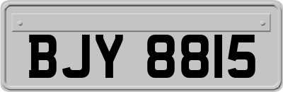 BJY8815