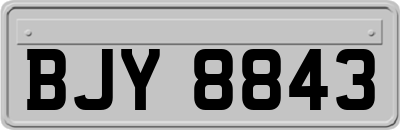 BJY8843