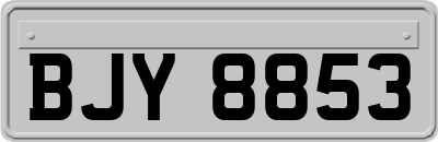 BJY8853