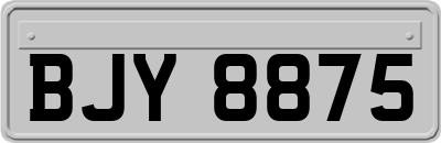 BJY8875