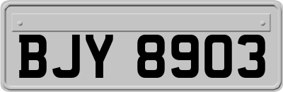 BJY8903