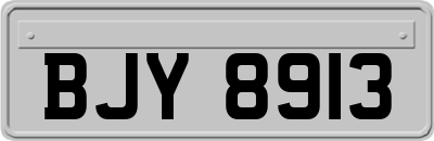 BJY8913