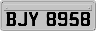 BJY8958