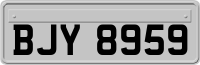 BJY8959