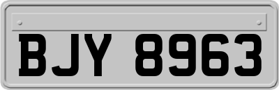 BJY8963