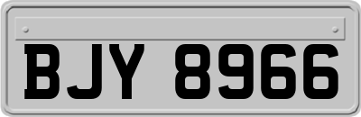 BJY8966