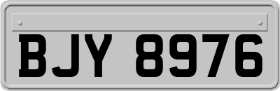 BJY8976