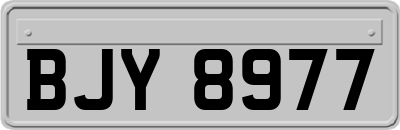 BJY8977