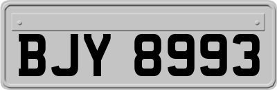 BJY8993