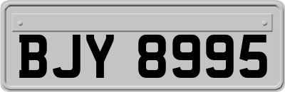 BJY8995