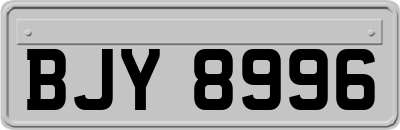 BJY8996
