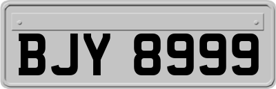BJY8999