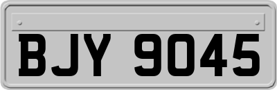 BJY9045