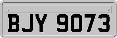 BJY9073