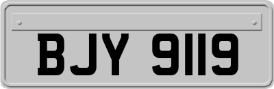 BJY9119