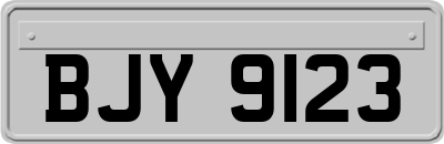 BJY9123
