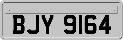 BJY9164