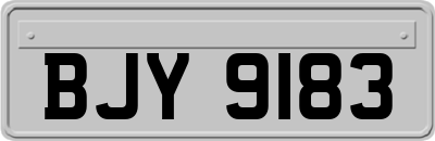 BJY9183