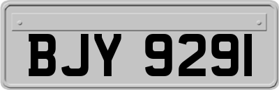 BJY9291