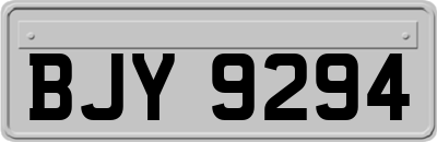 BJY9294