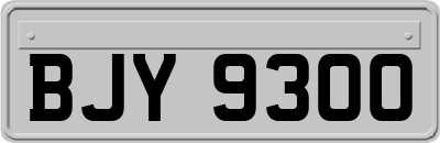 BJY9300