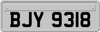 BJY9318