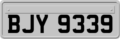BJY9339