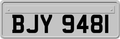 BJY9481