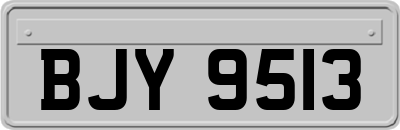 BJY9513