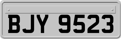 BJY9523