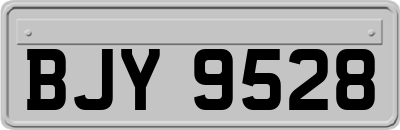 BJY9528