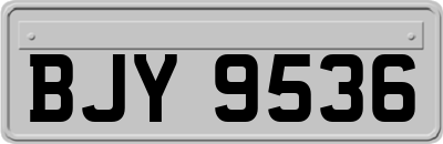 BJY9536