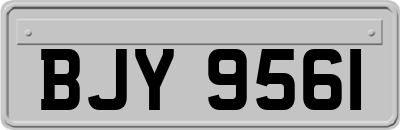 BJY9561