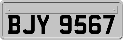 BJY9567