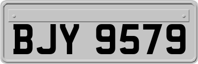 BJY9579