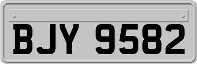BJY9582