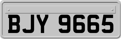 BJY9665