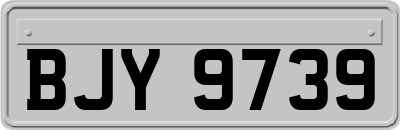 BJY9739