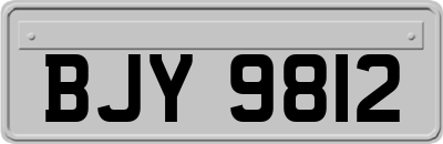 BJY9812