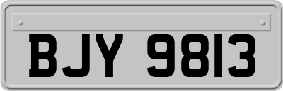 BJY9813