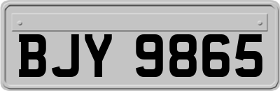 BJY9865